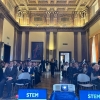 Stem-3