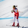 Cortina-8