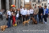 No alla strage dei cani in Ucraina - 2