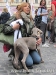 No alla strage dei cani in Ucraina - 7570