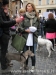 No alla strage dei cani in Ucraina - 7575