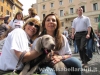 No alla strage dei cani in Ucraina - 7584